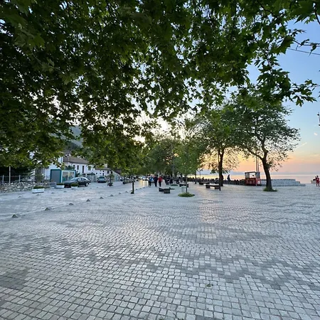 Bliss Shkodër