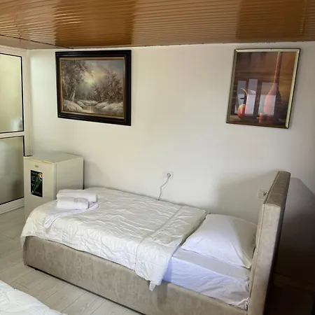 Bliss Guest house *