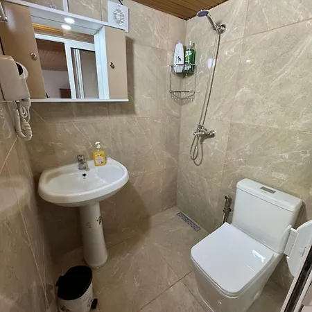 Bliss Guest house *